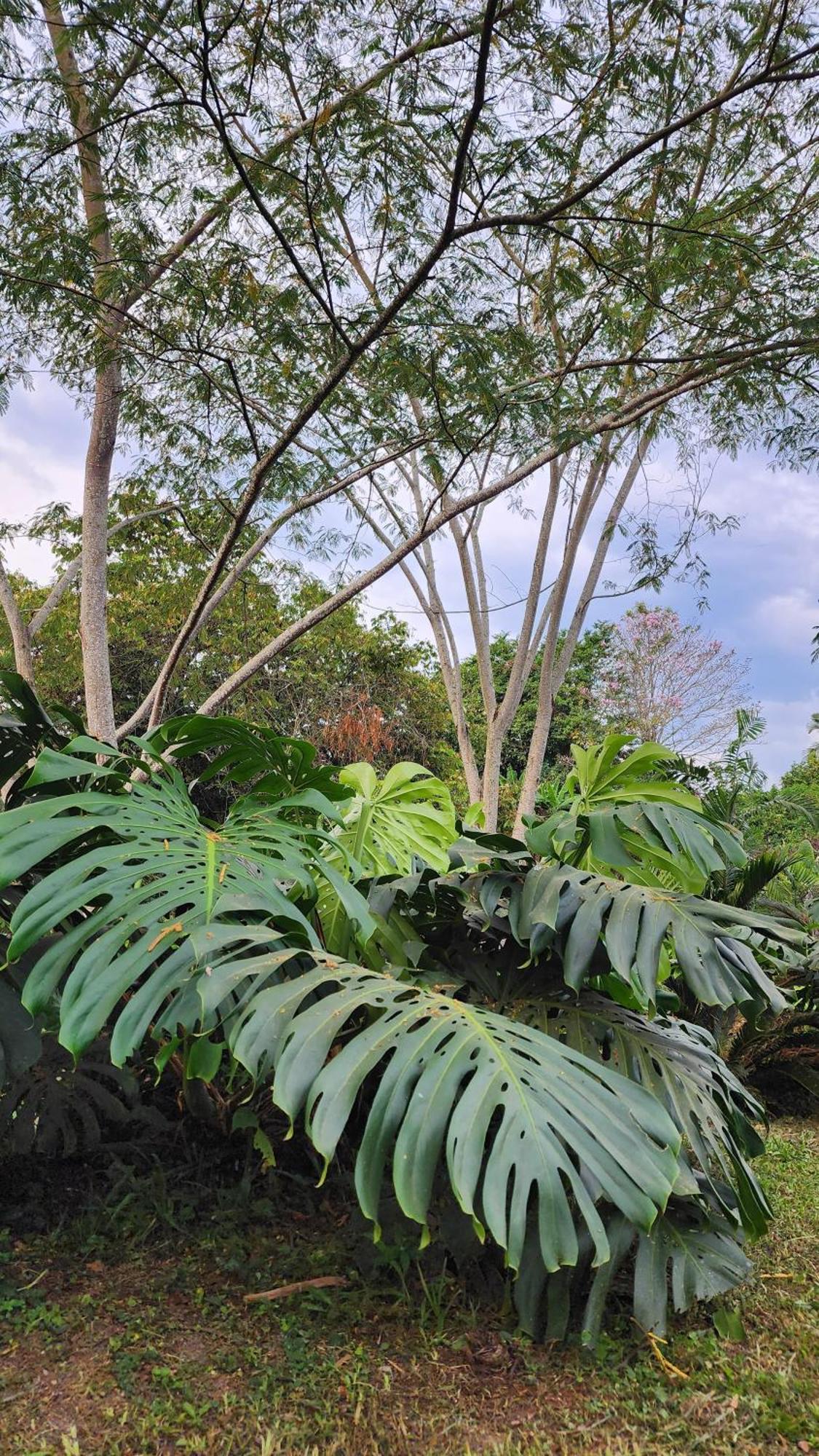 Holiday home Uko Urban Ekolodge Armenia (Quindio)
