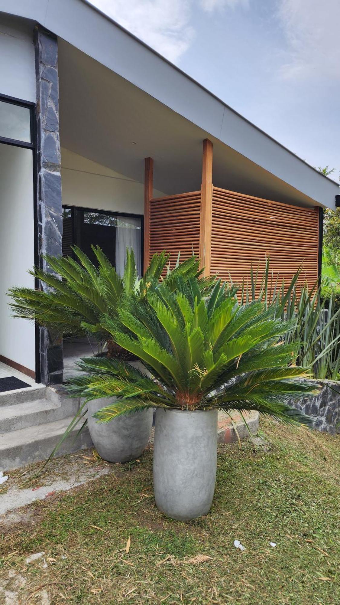 Uko Urban Ekolodge Armenia (Quindio)