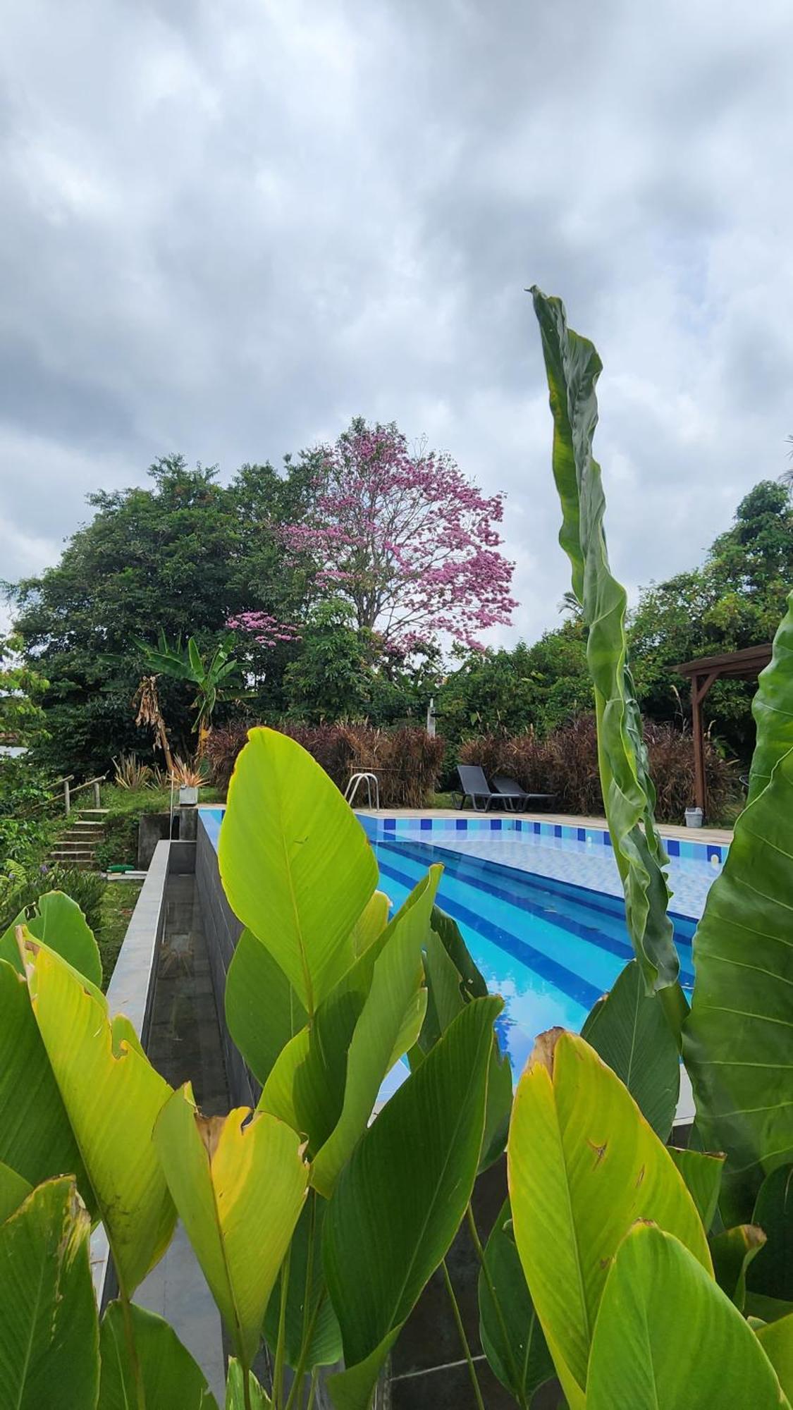 Uko Urban Ekolodge Holiday home Armenia (Quindio)