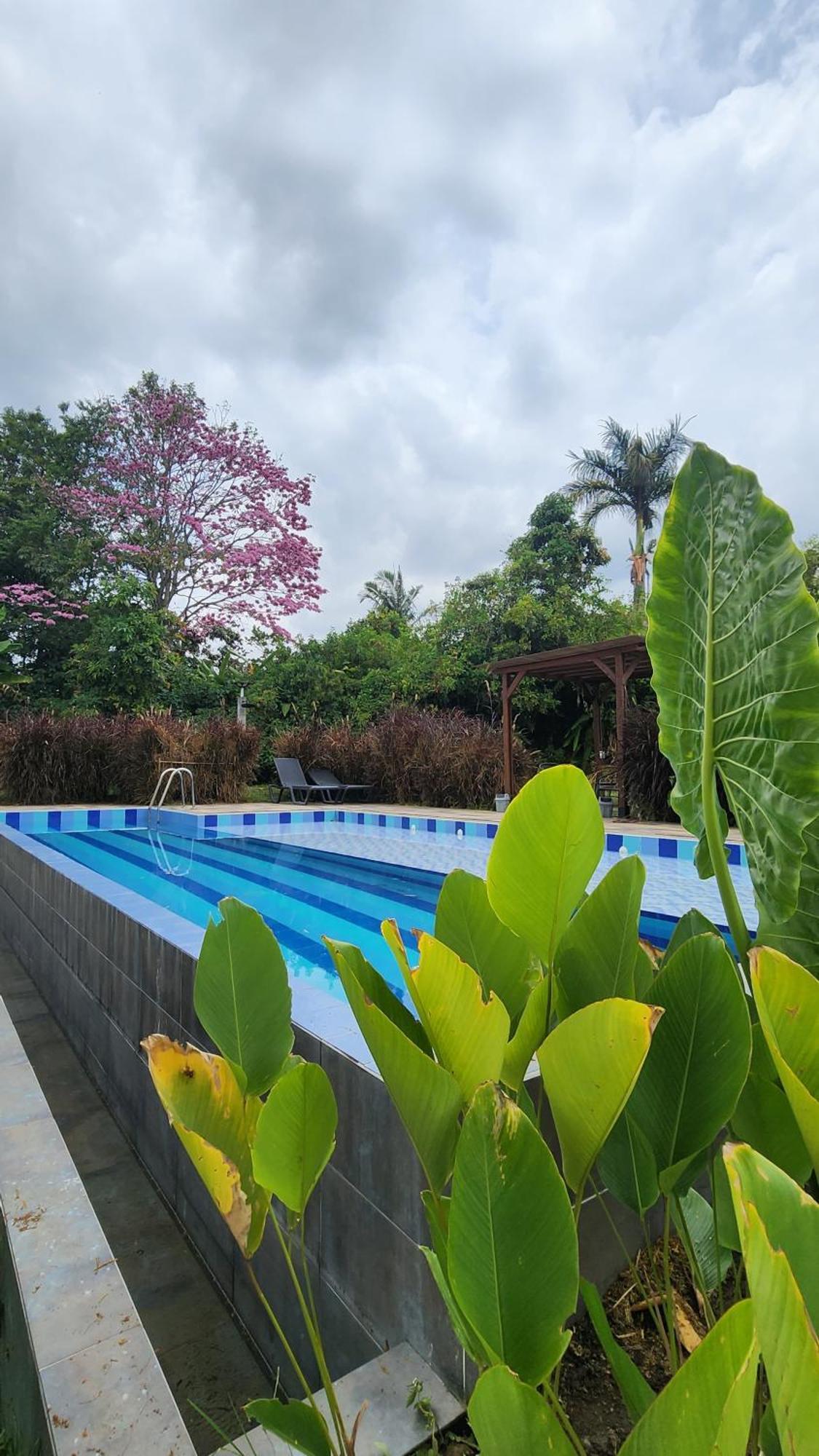 Uko Urban Ekolodge Armenia (Quindio)